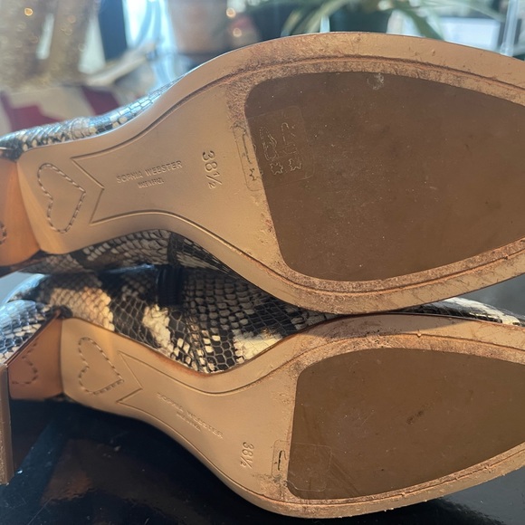 Sophia Webster snake booties, with mirrored heel. worn once Inside. - Picture 4 of 5